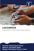 LUCCENTUS: Геймификация в сфере охраны труда и здоровья 6203676306 Book Cover