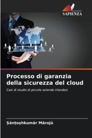 Processo di garanzia della sicurezza del cloud (Italian Edition) 6209548407 Book Cover