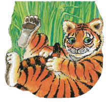 Pocket Tiger (Pocket Pals) 0859538710 Book Cover
