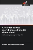 Città del Baltico meridionale di medie dimensioni (Italian Edition) 6208157773 Book Cover