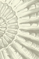 Ammonite notebook: Half-blank, and half-ruled pages for sketching and writing - ammonites rule! 1711815861 Book Cover