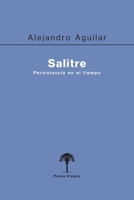 Salitre: Persistencia en el tiempo (Spanish Edition) B0GZYPQ268 Book Cover