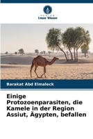 Einige Protozoenparasiten, die Kamele in der Region Assiut, Ägypten, befallen (German Edition) 6209946194 Book Cover