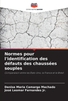 Normes pour l'identification des défauts des chaussées souples (French Edition) 6208506344 Book Cover