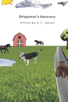 Princeton's Discovery 170718366X Book Cover