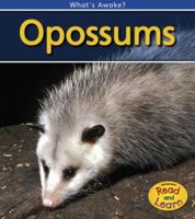 Opossums: 2nd Edition (What's Awake?) 1403406278 Book Cover