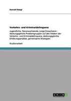 Verkehrs- und Kriminaldelinquenz: Jugendliche, Heranwachsende, junge Erwachsene - deckungsgleiche Problemgruppen auf den Feldern der Verkehrs- und Kriminaldelinquenz, deckungsgleiche Erkl�rungsans�tze 365609540X Book Cover