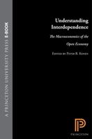 Understanding Interdependence 0691034087 Book Cover
