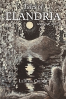 Tales of Elandria: Book One: Sowilo 1684984378 Book Cover