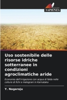 Uso sostenibile delle risorse idriche sotterranee in condizioni agroclimatiche aride (Italian Edition) 6204235494 Book Cover