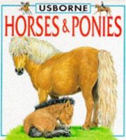 Horses & Ponies (Board Book) 0746019777 Book Cover