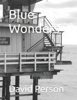 Blue Wonders B09K27ZHY1 Book Cover