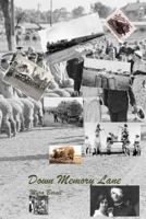 Down Memory Lane 1537662589 Book Cover