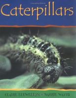 Caterpillars (Mimibeasts) 0531148300 Book Cover