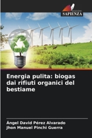 Energia pulita: biogas dai rifiuti organici del bestiame (Italian Edition) 6630147634 Book Cover