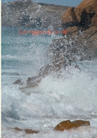 Les vagues de la vie (French Edition) 2322252530 Book Cover
