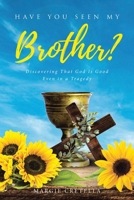 Have You Seen My Brother?: Discovering That God Is Good Even in a Tragedy B0CWVTNVD1 Book Cover