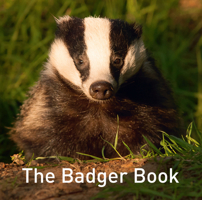 The Badger Book 1913634205 Book Cover