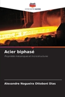 Acier biphasé (French Edition) 6200757623 Book Cover