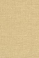 The Genius Figure in Antiquity and the Middle Ages 0231038526 Book Cover