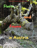 Flora and Fauna in Austria: Get to know the plants and animals of Austria in a picturesque way B0F317HK55 Book Cover