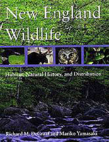 New England Wildlife: Habitat, Natural History, and Distribution 0874519578 Book Cover