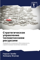 Стратегическое управление человеческими ресурсами: Подвергать сомнению обоснованность стратегической политики компании 6206113310 Book Cover