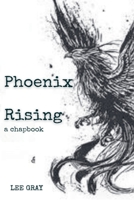 Phoenix Rising B0DPLPPDXP Book Cover