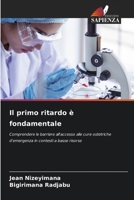 Il primo ritardo è fondamentale (Italian Edition) 6209454720 Book Cover