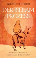 Der Bileam Prozess: Seelisch und spirituell wachsen und Ziele erreichen (German Edition) 3769330463 Book Cover