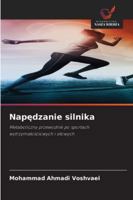 Napędzanie silnika 6209392199 Book Cover