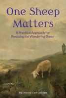 One Sheep Matters: A Practical Approach for Rescuing the Wandering Sheep B0GVZQXKLN Book Cover