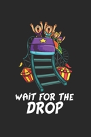 Achterbahn Notizbuch: Achterbahn Notizbuch f�r Liebhaber / Notizheft / Notizblock A5 (6x9in) Dotted Notebook / Punkteraster / 120 gepunktete Seiten 1671318935 Book Cover