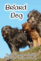 Briard Dog: Thinking Like A Dog And Building A System To Train Your Briard Dog: Clicker Training Your Dog In Simple Steps B09CGBM7YC Book Cover
