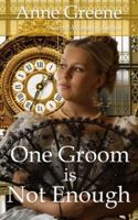 One Groom is Not Enough B0DLMSQ6FQ Book Cover