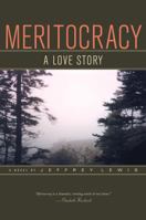 Meritocracy: A Love Story 1590511425 Book Cover