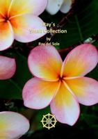 Ray´s Small Collection 1291435034 Book Cover