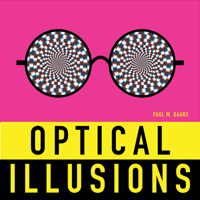 Optical Illusions 1419705105 Book Cover