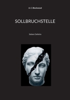 Sollbruchstelle: Sieben Defekte (German Edition) 3696358827 Book Cover