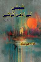 Shibli ke Adabi Goshey: (Literary Essays of Shibli Nomani) (Urdu Edition) 9369089802 Book Cover