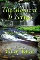 The Moment Is Perfect 1494361450 Book Cover