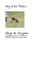 Day 3 to Trial ... 1496198328 Book Cover