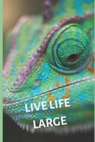 Planner 1650725876 Book Cover