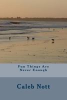 Fun Things Are Never Enough 1725082195 Book Cover