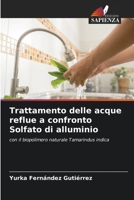 Trattamento delle acque reflue a confronto Solfato di alluminio: con il biopolimero naturale Tamarindus indica 6206070735 Book Cover