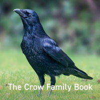 The The Crow Family Book (The Nature Book Series) 1802583564 Book Cover