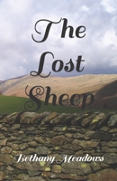 The Lost Sheep B0C91R19MS Book Cover