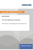 Ol- Und Gasboom in Amerika 373794850X Book Cover