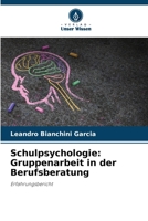 Schulpsychologie: Gruppenarbeit in der Berufsberatung 6207306171 Book Cover
