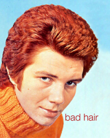 Bad Hair (Hardcover)